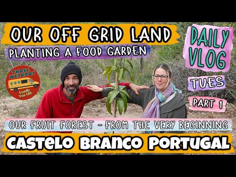 Planting a Food Forest From The VERY beginning On Our Off Grid Land - Daily Vlog Tues