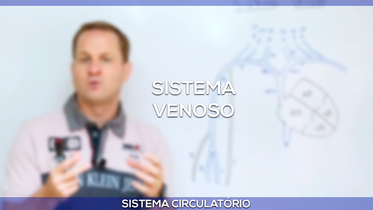 Veias do pescoço e membros superiores