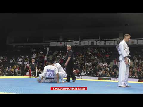 WKO EC 2019, 1/8 -85 Ali Hayder (Sweden, aka) - Juras Sokolovas (Lithuania)