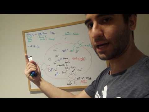 Ischemia-Reperfusion Injury (IRI) Mechanism (How does it work?)