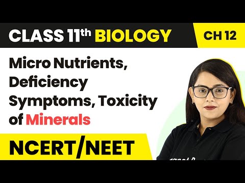 , title : 'Micro Nutrients, Deficiency Symptoms, Toxicity of Minerals - Mineral Nutrition | Class 11 Biology'