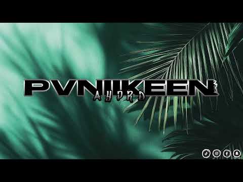 PVNIIKEEN - PLAN X DADJU X DRIKS X FRANGLISH [ZOUK REMIX] 2025