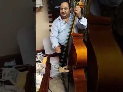 NELU BOSOI clarinet, NELU BATALU acordeon,FLORICA ȘANDOR țambal