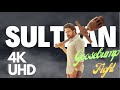Sulthan Mass Fight Goosebumps Scene
