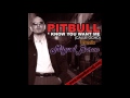 Pitbull -I Know You Want Me- (Calle Ocho ...
