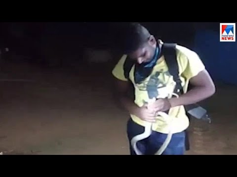 പിടികൂടിയ മൂര്‍ഖന്‍റെ കടിയേറ്റ് പാമ്പുപിടിത്തക്കാരന് ദാരുണാന്ത്യം  | Trivandrum | Snake bite | Youth