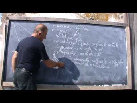 1. Bazele Matematicii: Lectia 65 - Recapitulare geometrie la clasa a 7-a 1/4
