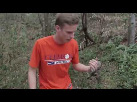 Why so many people are cool