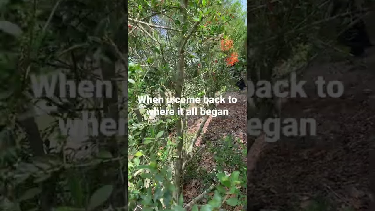 When u come back to where it all began