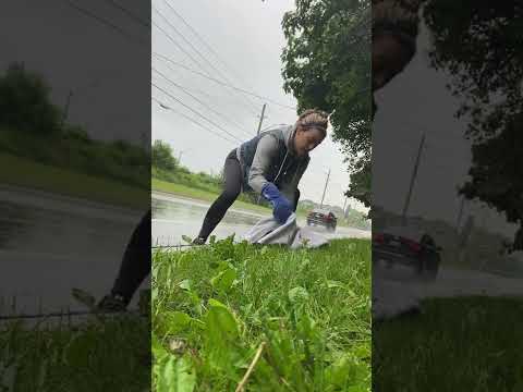 Saving a Skunk From the Side of the Road || ViralHog