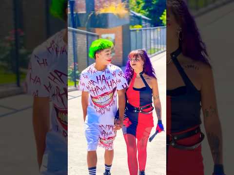 WHICH HARLEY SHOULD HE CHOOSE? 🤯