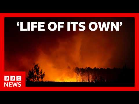 Spanish PM says wildfires are a 'painful expression' of climate emergency | BBC News