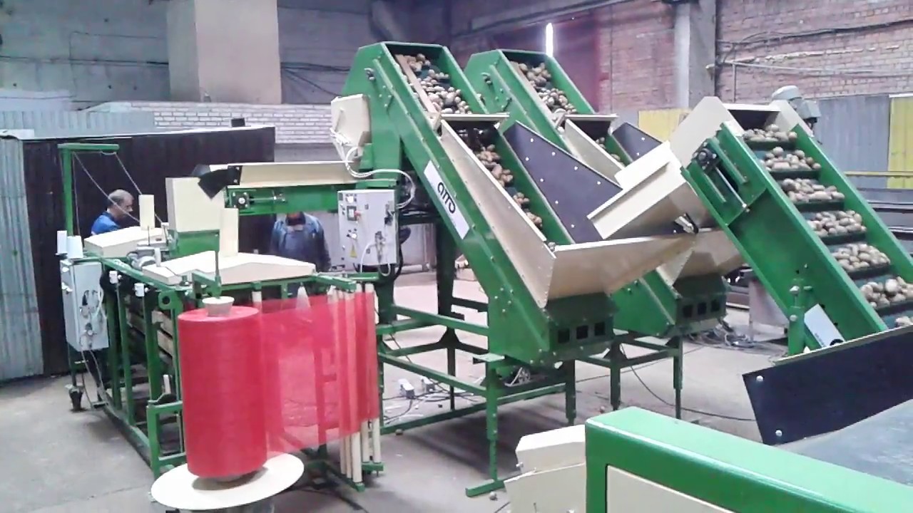 линия оборудование для автоматической фасовки упаковки картофеля, овощей, лука, моркови, корнеплодов УД-5+УП-1 