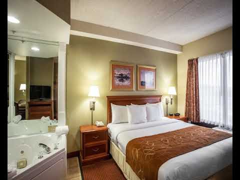 Comfort Suites Northlake - Charlotte (North Carolina) - United States