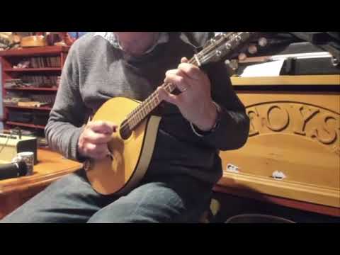 Martin Wynne's No 2 Reel, mandolin