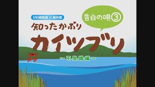 「告白の唄 不思議編」【アミンチュソング】