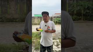 Download lagu Tuman #lucu #vidiokomedi #funny #vidiokomedilucu #comedy mp3 Download lagu Tuman #lucu #vidiokomedi #funny #vidiokomedilucu #comedy mp3