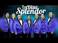 LOS BLUE SPLENDOR, ENTREVISTA A ÁNGELO MACCHIAVELLO