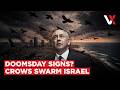 Crow Swarms Trigger Panic In Tel Aviv Viral Video Fuels Doomsday Claims Experts Push Back VERTEX