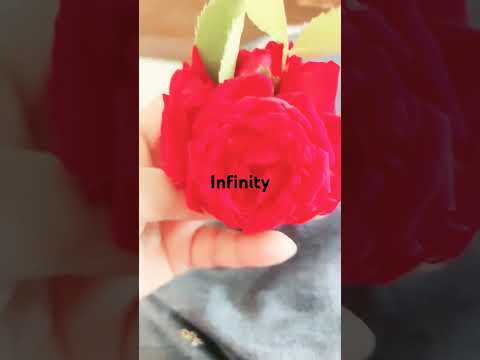 25 December 2024 @ifrah.infinity