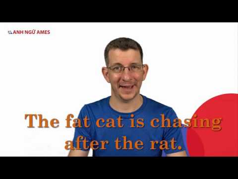 Day 2 - THỬ THÁCH 15 NGÀY LÀM CHỦ PHÁT  ÂM - Ngày 2 - /æ/