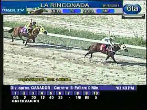 Resumen Sabado, 01 de Octubre de 2011 - La Rinconada