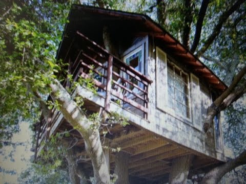 A Tour Inside Nathan's Treehouse 20150414 102212