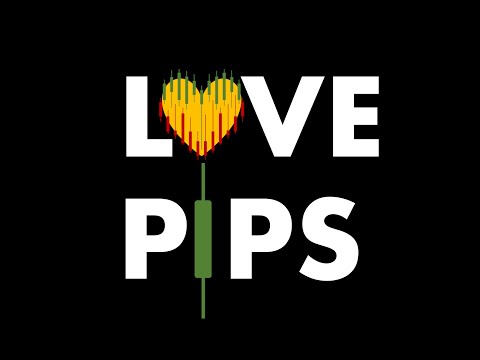 Video Love Pips MT5