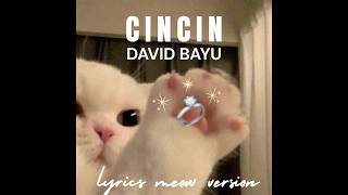 Download lagu Cincin - David Bayu (LIRIK) mp3