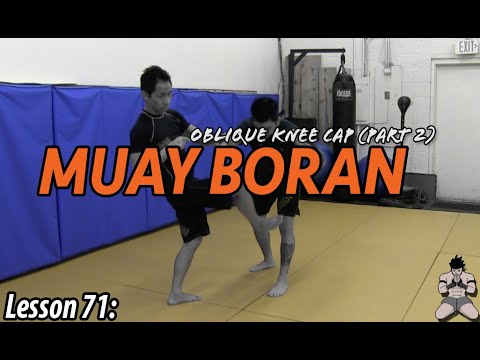Lesson 71: Muay Boran Oblique Snap Kick (knee cap part 2)