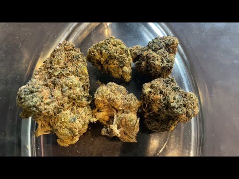 4c Labs T18 Jokerz REVIEW