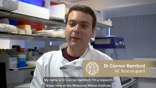 Dr Connor Bamford - 2020 H C Roscoe grant winner