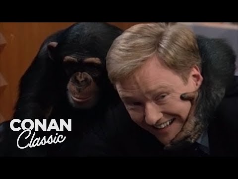 Animal Expert Jarod Miller: Fennec Fox & Chimpanzee | Late Night with Conan O’Brien