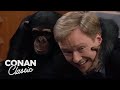 Animal Expert Jarod Miller Fennec Fox Chimpanzee Late Night With Conan O Brien