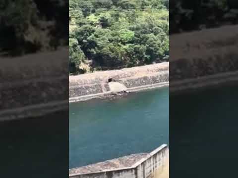 Zakee the beautiful mahaweli river