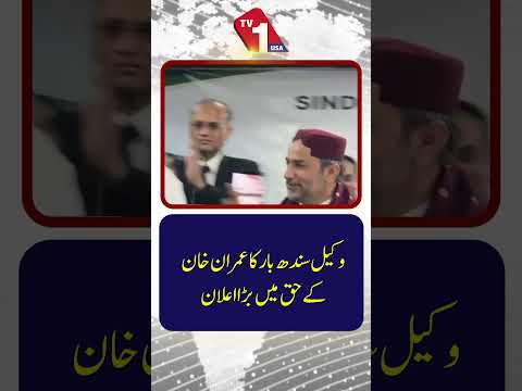 سندھ بار کے وکیل کی جانب سے عمران خان کی حمایت میں اہم اعلان