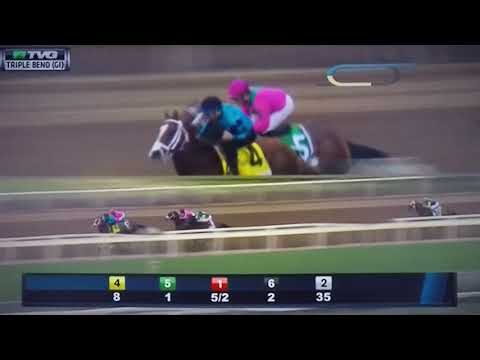 TRIPLE BEND (G 1) STAKES 3/10/18 - CITY OF LIGHT !!