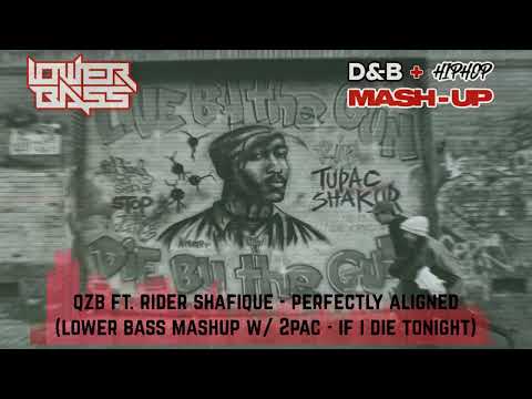 QZB ft. Rider Shafique - Perfectly Aligned (Lower Bass mashup w/ 2pac - If I Die 2nite) [LBDNBHH01]