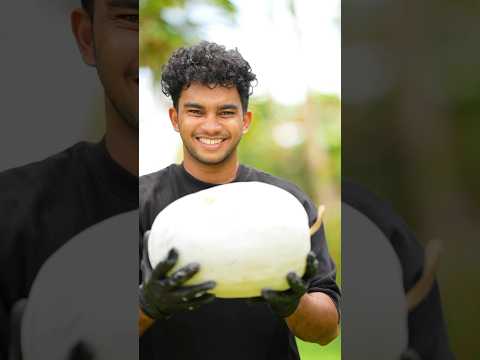 Have You Ever Tried Ash Gourd Juice?