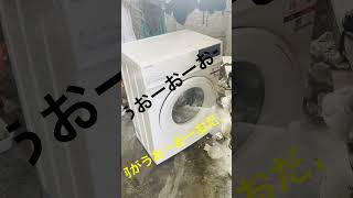 バリのジャイヤン初めてのドラム型洗濯機🤣