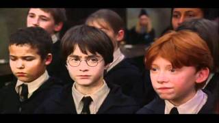 Harry Potter and the Philosopher's Stone (2001) Video