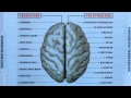 Infected Mushroom - Blink 