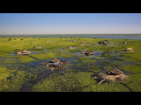 Nilotes on the swamp Sudd. Residents living in the middle of Africa's largest swamp