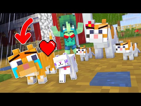 Monster School : Poor Cat No Way Home - Sad Story - Minecraft Animation