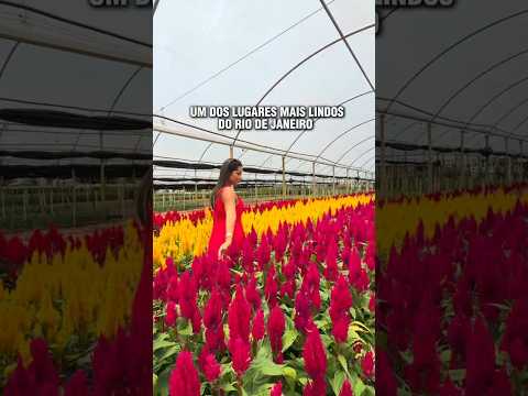 UM DOS LUGARES MAIS LINDOS DO RJ