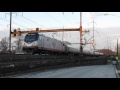 Railfanning Can Be A Zoo