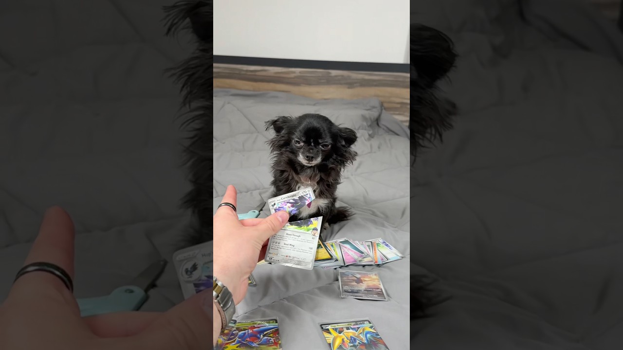POKÉMON DESTROYING PUDDIN 😱❤️