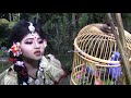 Moyna Bolo Tumi Krishno Radhe | Dance cover | MAnha | SS Multimedia Chandpur