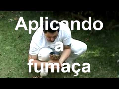 Xamã Cientista - QUEIMA DE ERVAS NO XAMANISMO