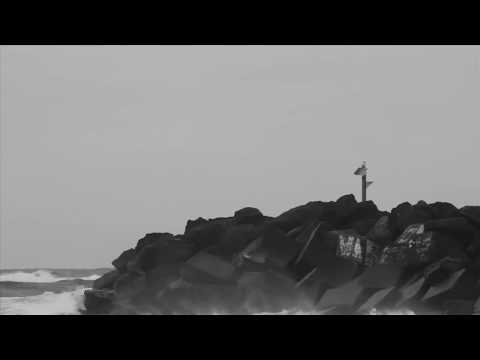 Dane Reynolds | defeated by dbah